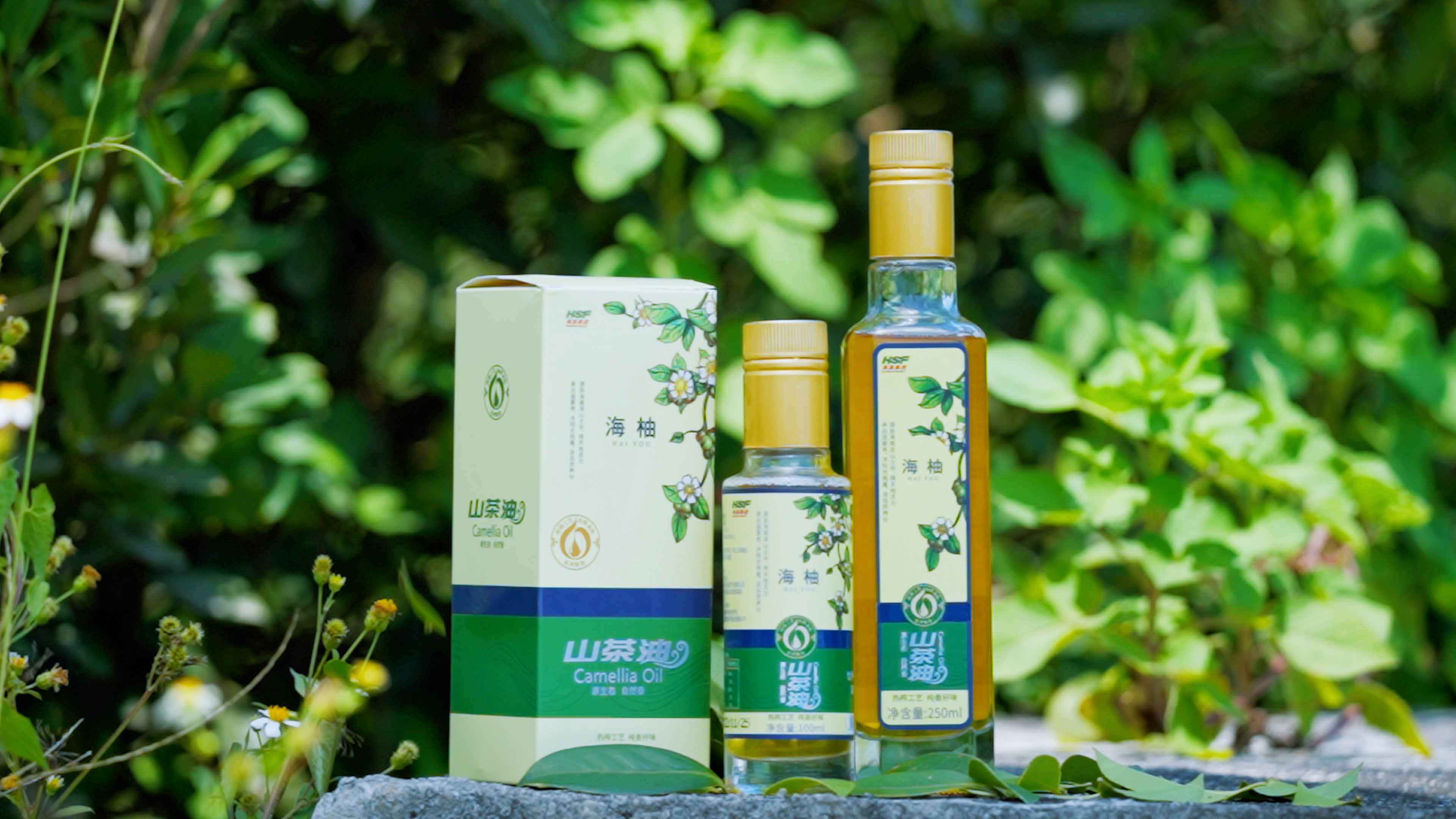 摇钱树娱乐乐香山茶油