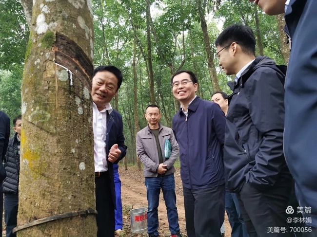 摇钱树娱乐(中国区)有限公司官网